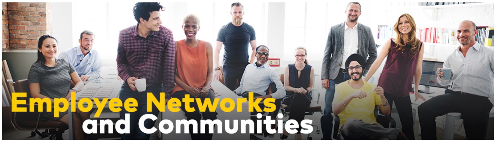 Employee networks banner