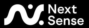 Next sense logo